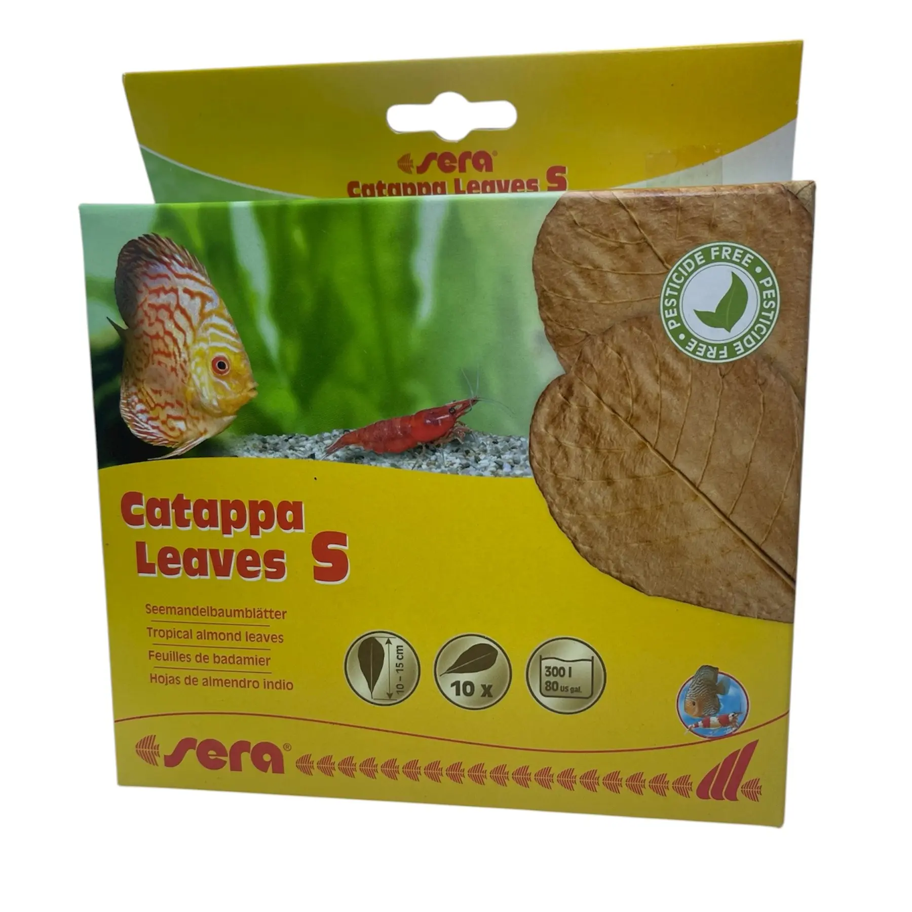 Sera Catappa Leaves -  10 - 15 cm (4 - 6 in.) - Natural Aquarium Decor - Naturally Conditions Water and has Antibacterial and Antifungal Properties - Great for bettas, shrimp, tetras, and more