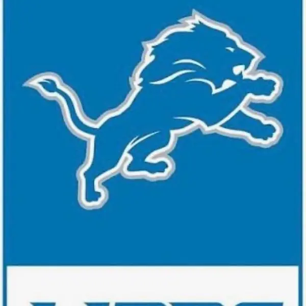 Lions- Authentic Helmet Break