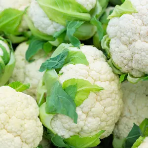 50 Cauliflower Seeds for Planting in Raised Garden Containers and Small Space Gardening Perfect for Urban Gardens Balcony and Patio Planting and Growing Fresh Veggies at Home