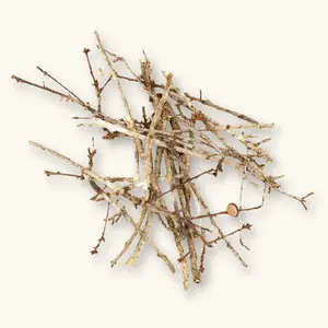 Natural Oak Twigs (20c) by Betta Botanicals for Blackwater Aquariums & Shrimp Tanks