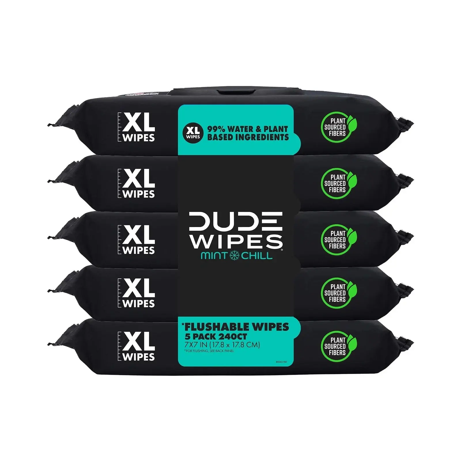 DUDE Flushable Wet Wipes, Extra Large Mint Chill Scent, 48-Count per Pack, 5 Packs (240 Total) - Home Care Toilet Wipes Supply