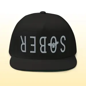 Rebos Sober Recovery Flat Bill Cap - Doing It Sober - AA 12 Step Gift Mens or Womens Hat Accessories Baseball Cap Hat