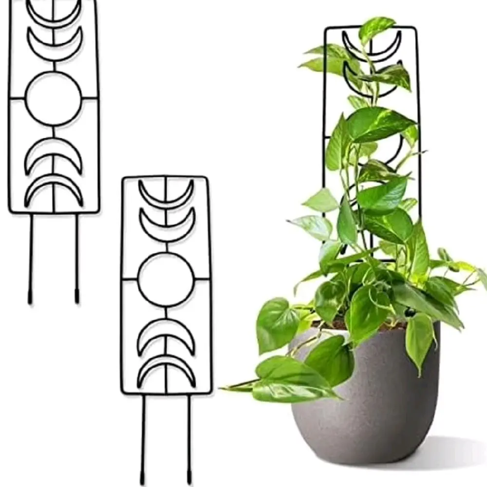 Moon Phase Trellis Indoor/Outdoor