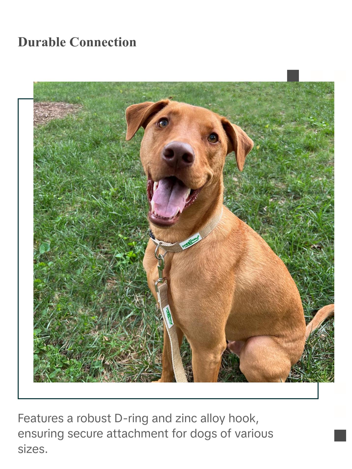 Doggijuana® Hemp Dog Leash