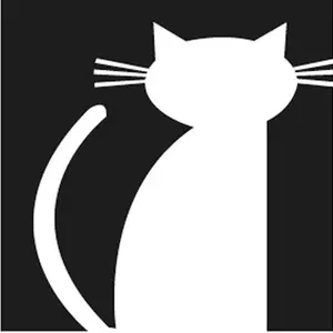 background preload poster image 