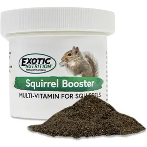 (2 oz.) Complete Multivitamin Powdered Vitamin & Mineral Supplement for Pet Squirrels