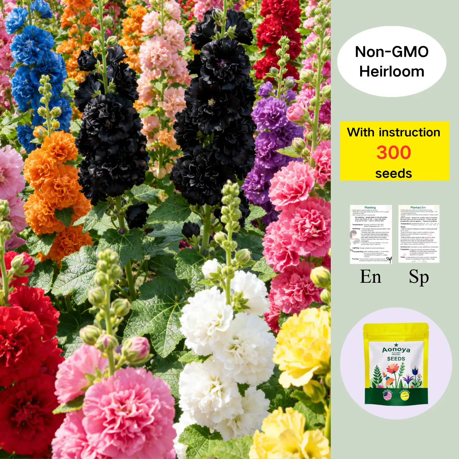 [Promise: Germinate or Refund]300pcs Double Hollyhock Seeds 'Radiant Rose’ - Mixed Colors, Non-GMO Heirloom, Hardy Biennial for Vibrant & Tall Blooms Plant Garden Outdoor Flower Pot Decorative Tulip