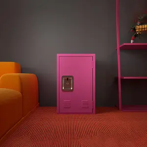 Dreamzon 24" H Locker Storage Cabinet, Metal Locker Storage Cabinet with 1 Doors, Small Metal Locker,Lockable Storage Cabinet,for Employees,Office,Kids Locker - Assembly Required (Rose Red),Easy Assembly