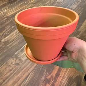 Terracotta 8” Terracotta material Planter with Drainage and Saucer
