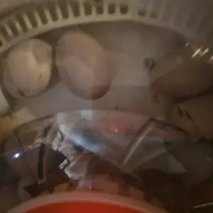 30 Egg Incubator with Automatic Turner, Digital Temperature and Humidity Display, and Built-in Egg Candler for Hatching Chickens, Quail, and Ducks