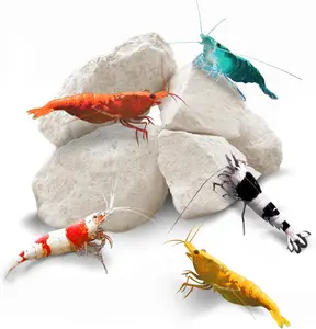 Shrimp Rocks, Calcium, Magnesium Rocks for Crayfish, Hermit Crab, Snails, Crustacean Care, Aquarium Decor for Crystal Red, Amano and Ghost Shrimps, Nano Tank Accessories, Fish Tank Supplies