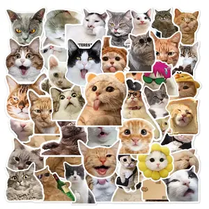150 Pcs Funny Cat Abstract Expression Graffiti Waterproof Stickers Decorative for Skateboard Journal Helmet, Fun and Unique Design