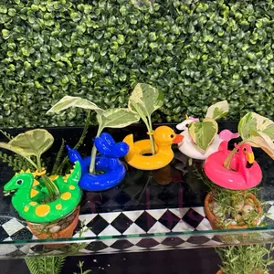 Aquabuds - Propagation Floaties - for aquarium propagation - unicorn flamingo dinosaur balloon