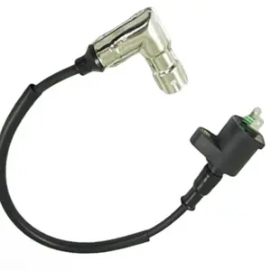 IGNITION COIL with METAL HOUSING HEAD PLUG CAP for TAOTAO 90cc 110cc 125cc 150cc 250cc ATV QUAD DIRT BIKE GO-KART 4 Stroke 90° Cap 2 Prong Terminals