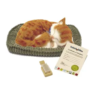 Original Orange Tabby Kitten Perfect Petzzz