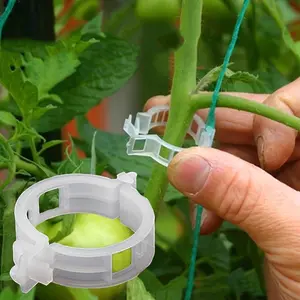 100 Piece Garden Trellis Clips, Durable Plastic Tomato Clamps for Climbing Vegetables & Flowers, Vine Plant Ties for Cucumbers & Pumpkins, Garden Supplies