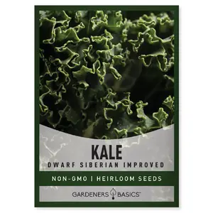 Dwarf Siberian Improved Kale Seeds