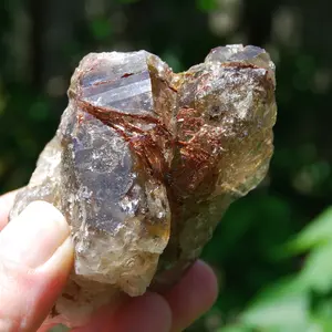 3.5in 204g RARE Sagenite Rutile Smoky Quartz Crystal Starbrary, Minas Gerais, Brazil