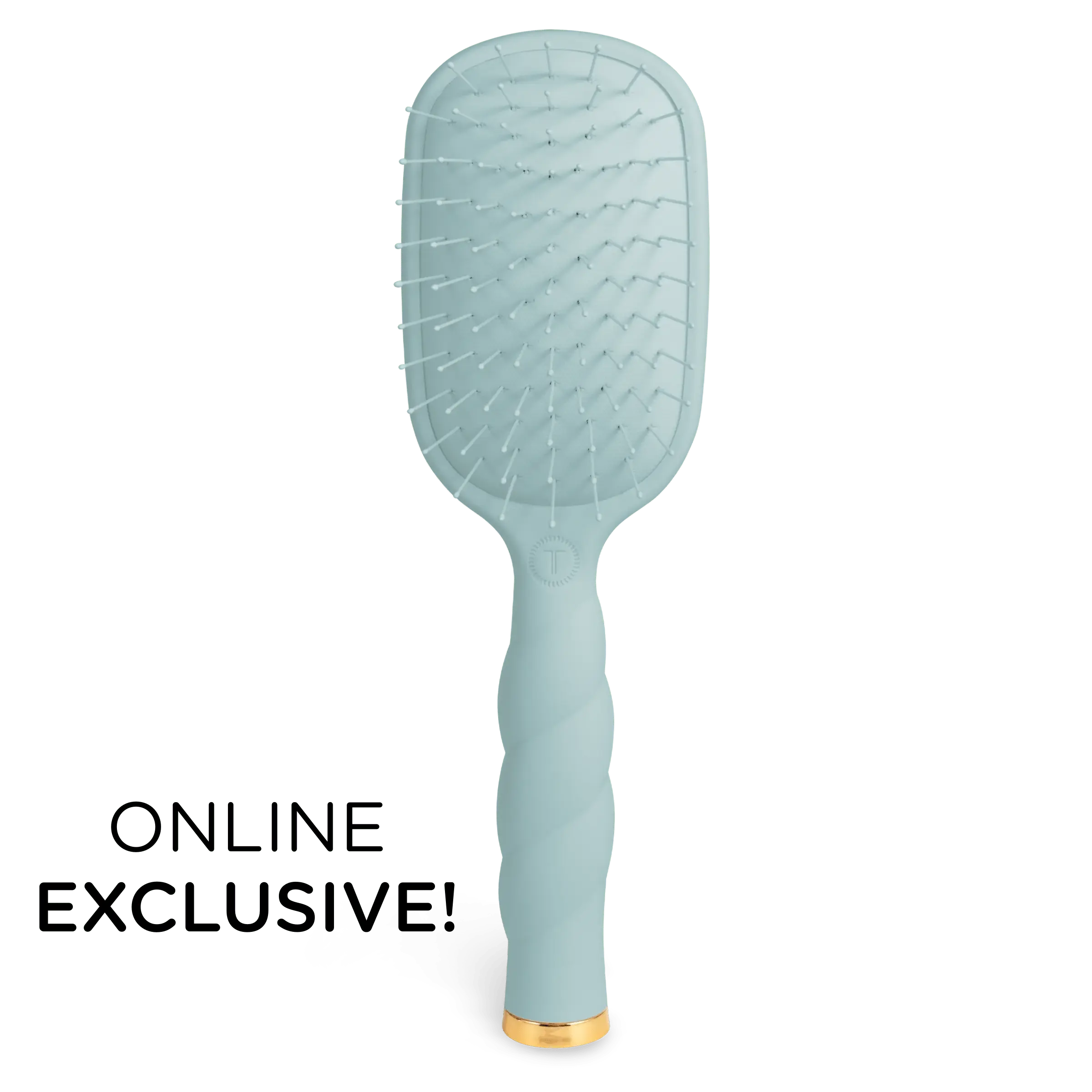 Detangler Hair Brush for Fine Hair – Blue