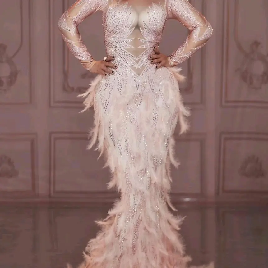 Sparkling Plumage Elegance a full sleeve feathery rhinestone embelished maxi dress