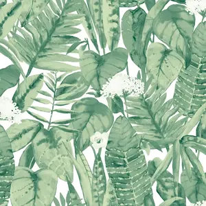 Tempaper & Co. 28 sq ft Tropical Peel and Stick Wallpaper Jungle Green