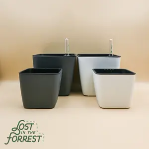 Self-Watering Pot
