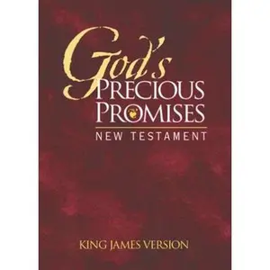 USED-God's Precious Promises New Testament-KJV by Amg Publishers (Paperback)