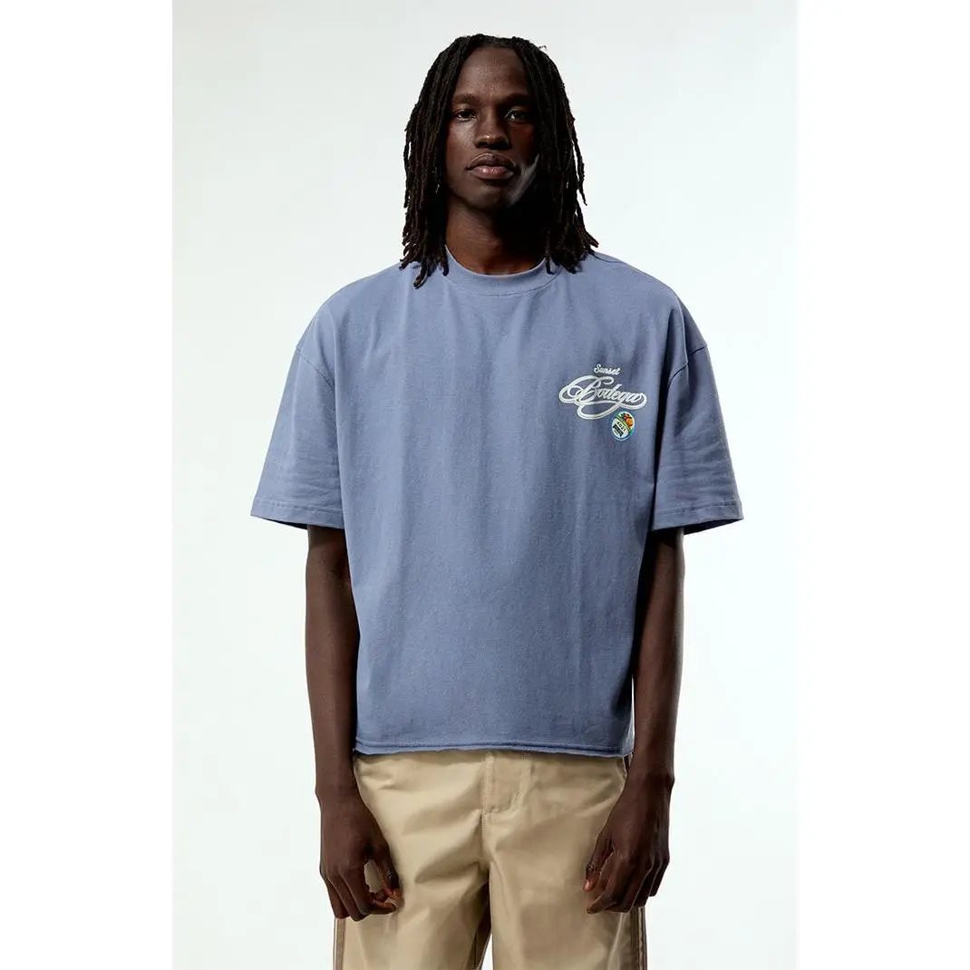 Pacsun Men's Bodega Applique Cropped Boxy T-Shirt