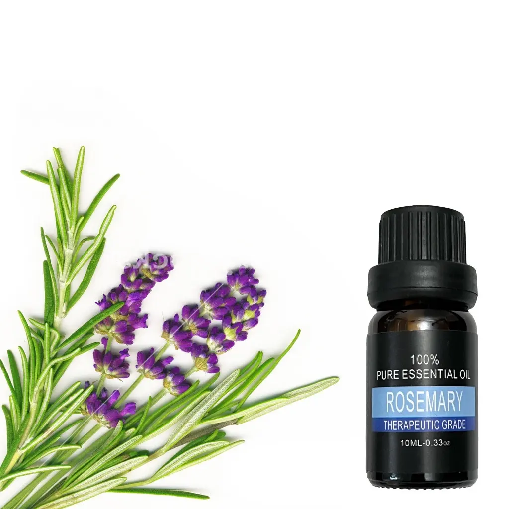Rosemary Essential Oil for Aromatherapy, Home or Office diffuser