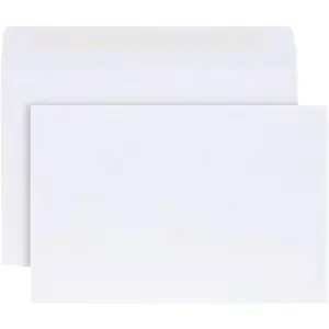 6" x 9" Booklet Envelopes Gummed Seal for Mailing or Storage 24 lb White Wove 500 per Box