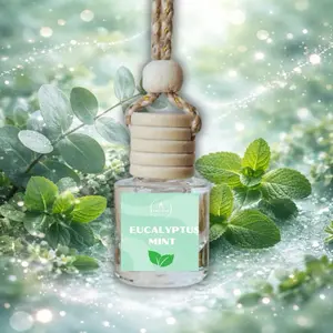 Eucalyptus Mint Car Diffuser, Green Fresh Scent, Hanging Air Freshener, Spa Aromatherapy Type Car Scent, Refreshing Car Freshener