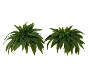 Nearly Natural Set of (2) 48" UV Resistant Boston Fern