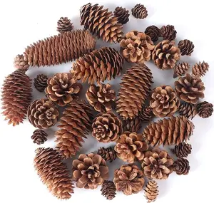 40PCS Natural Pine Cones Bulk, Pinecones Decorations Pine Cone Ornaments for Crafts Thanksgiving Christmas Wreath Table Bowl Decor, Winter Vase Filler