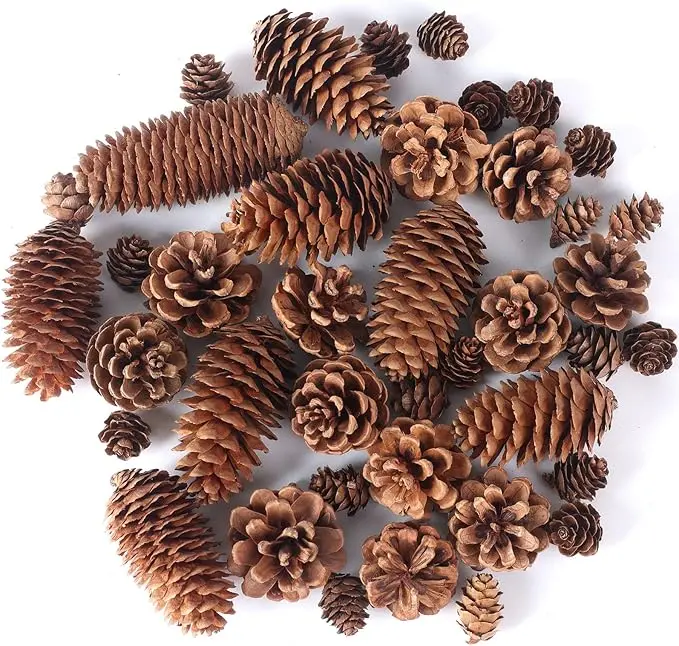 40PCS Natural Pine Cones Bulk Pack, Home & Festive Decor Supplies for Crafts, Thanksgiving Christmas Wreath, Winter Vase Filler, Table Bowl Ornaments