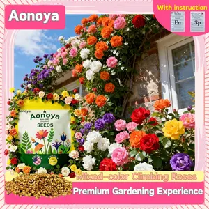 Rose Seeds(300/1000 seeds)-Heirloom and varieties for the home garden, non-GMO, easy-to-grow beautiful perennial flowersMaintenance Long Blooming Period