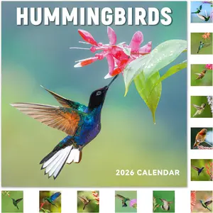 2026 Calendar - 12 Month 2026 Wall Calendar JAN 2026 - DEC 2026, Wall Calendar Large Blocks, 2026 Calendar Wall for Office School  Organizing & Planning, 12" x 24"(open) - Hummingbirds