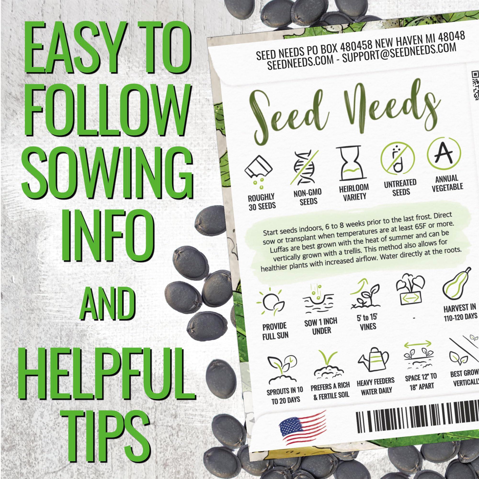 30+ Long Angled Luffa & Gourd Smooth Luffa Seeds Vegetable Fruit Seed Edible Tropical Vegetable Garden Asian Luffa