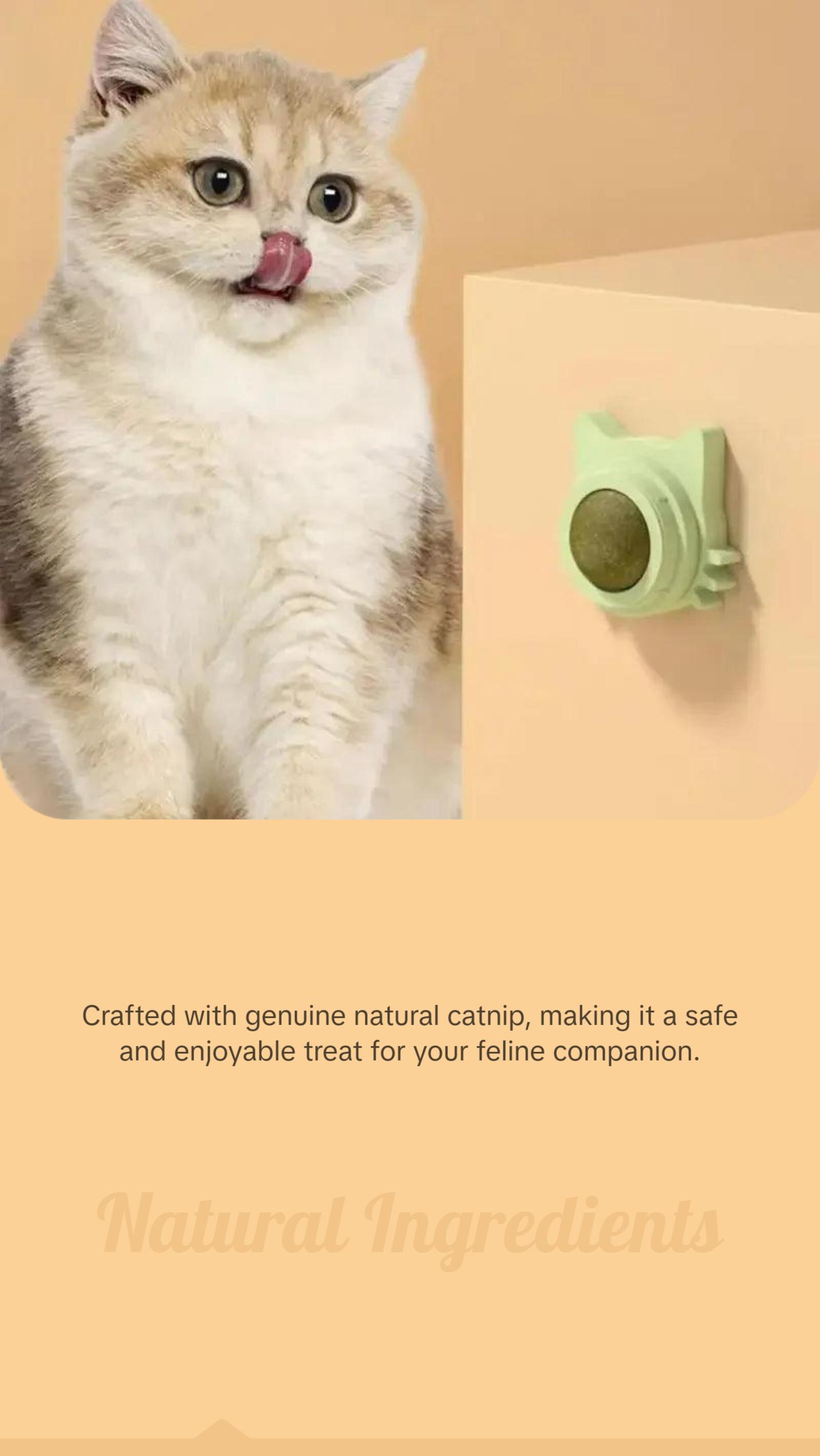 Catnip Balls Funny Lickable Cat Snack