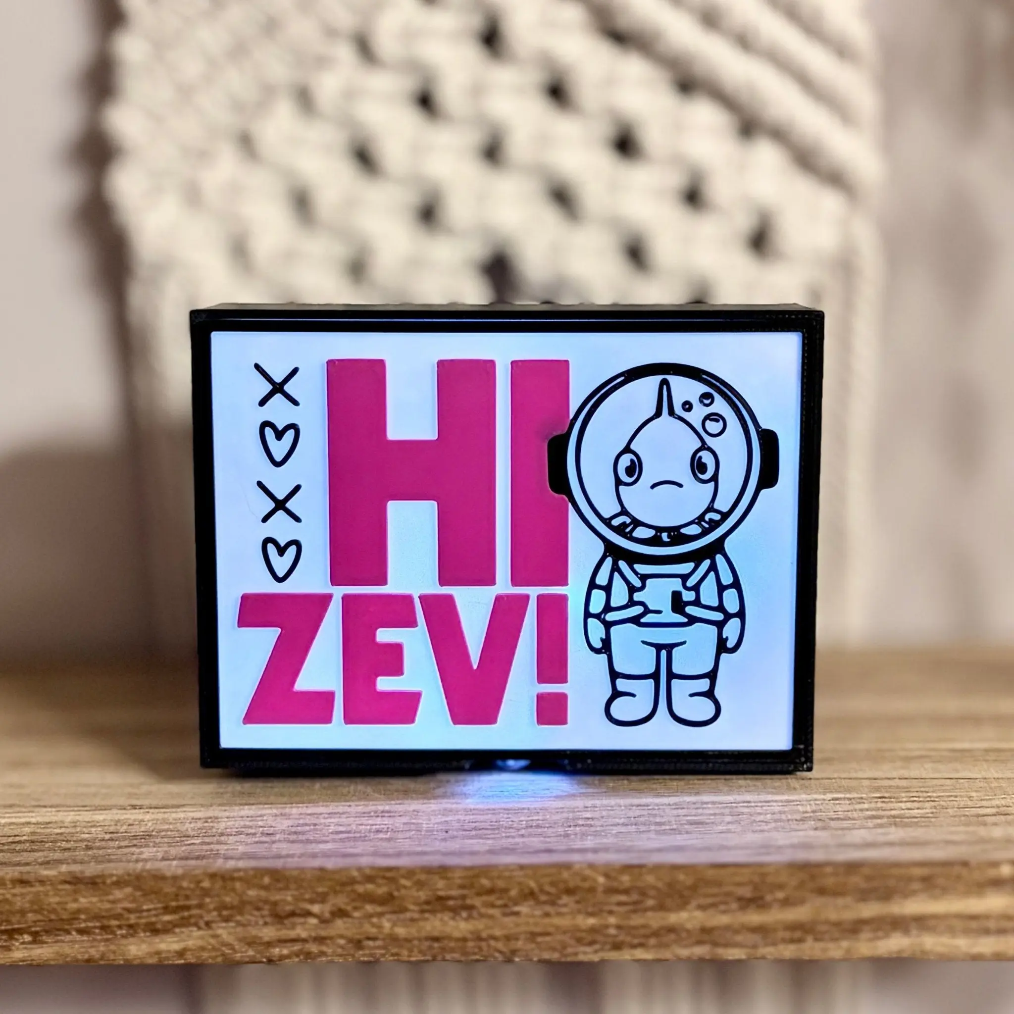 DCC Inspired "Hi Zev!" Light Up Book Nook