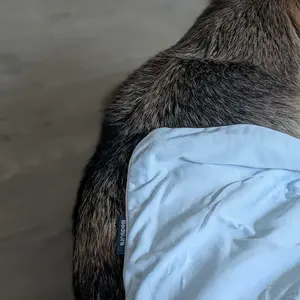 Bedsure Cooling Dog Blanket - Keeps Pets Cool, Lightweight Design, Breathable & Washable