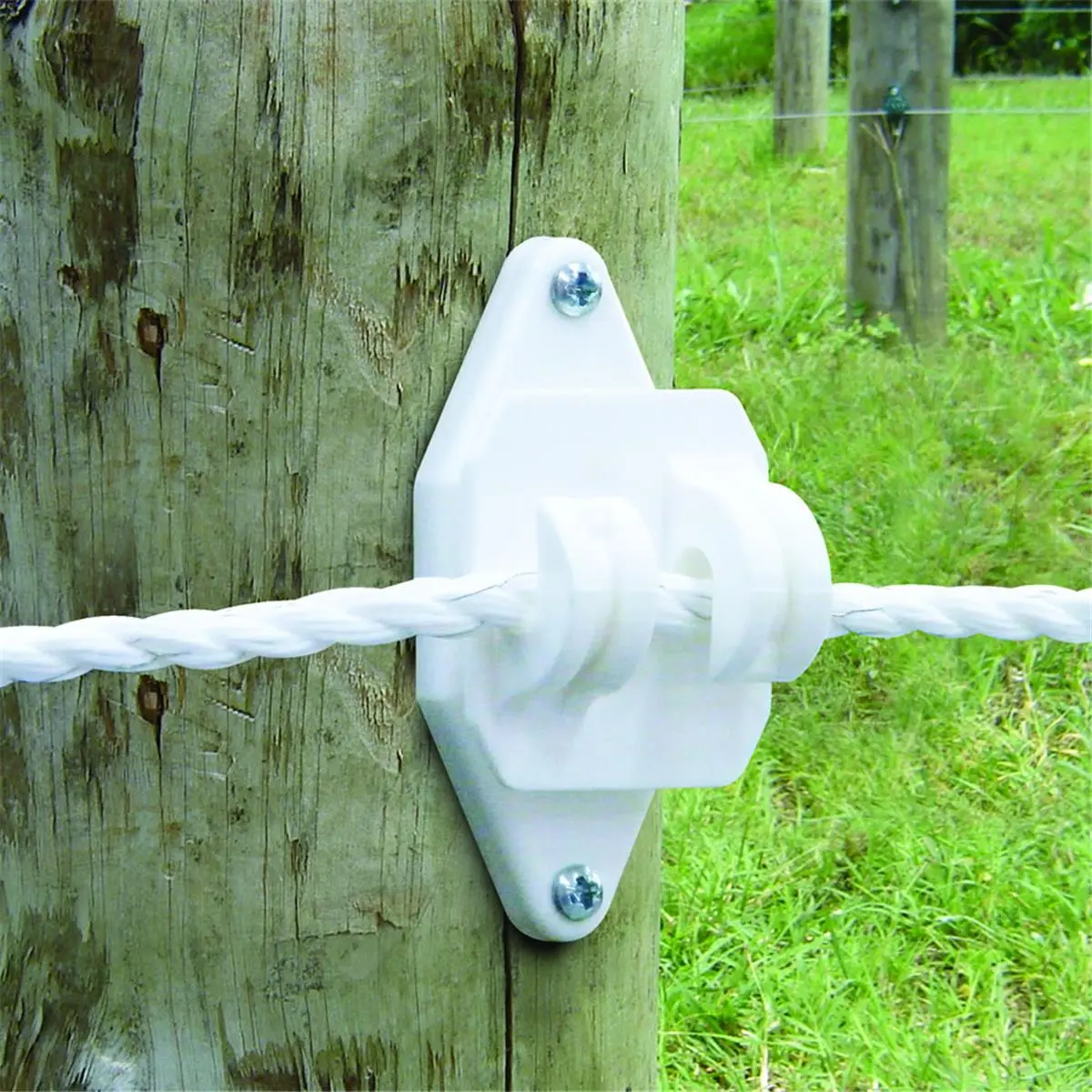 Patriot 814718 Wood Post Jumbo Claw Insulator - White