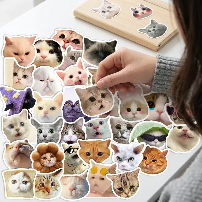100 Cute Cat Stickers  | Kawaii Aesthetic Vinyl | No Repeats, Waterproof| Perfect for Journals & Water Bottles| Fun Gift for Kids & Teens