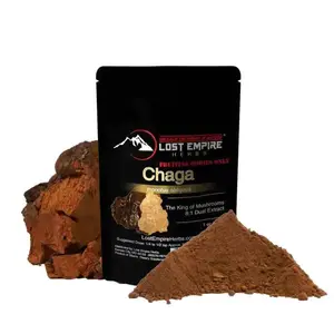 Chaga Mushroom Organic 8:1 Extract (30 Grams)