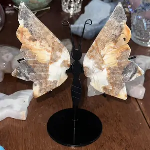 Amazonite Butterfly wings