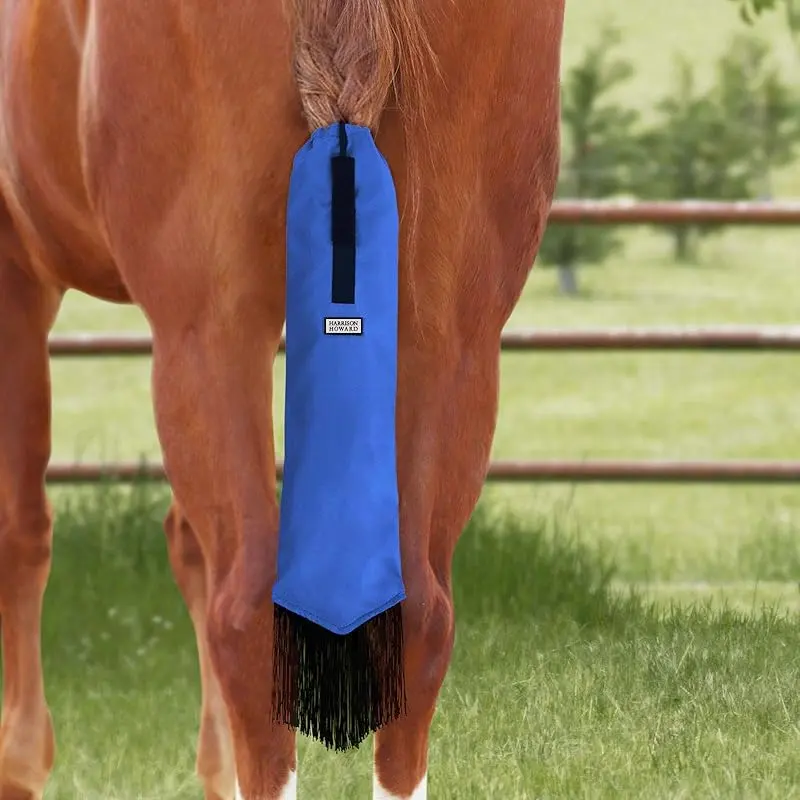 Champion Blue