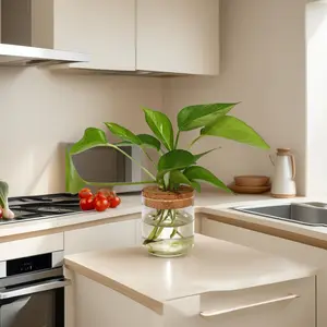 Glass Propagation Container, Indoor Hydroponic Vase, Modern Plant Vase, Transparent Borosilicate Glass Jar, Home Office Desk Decor, Perfect Gift for Garden Lovers