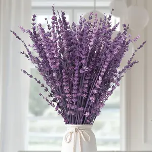 Dried Purple Lavender Flowers Bundle-Dried Preserved Lavender Bouquet 15-17" for Shower Weeding Home Vase Decor, Crafts, Aromatherapy, Fragrance, Fresh Silk Dry Live Plants, 50g(1.76oz)