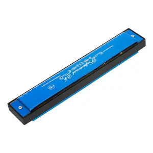 24-hole C Diatonic Harmonica, 1 Count Professional Mouth Organ with Case, Portable Durable Musical Instrument for Beginners & Professional Players