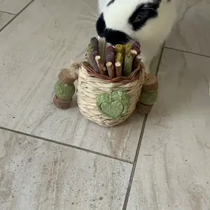 Floral Durable Chew Rabbit Supplies Hanging Basket Set with Sweet Bamboo, Timothy Hay, Peach Sticks for Bunnies, Rodents (Chinchillas, Guinea Pigs, Hamsters, Rats) Teeth Grinding, Small
