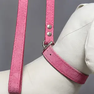 Embossed Suede Leash by Omnipet